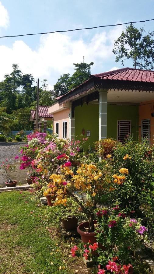 Dhia Irdina Homestay Paya Rewak Exteriör bild